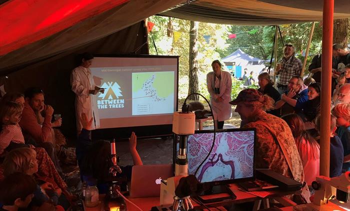 Between the Trees Talks and Workshops